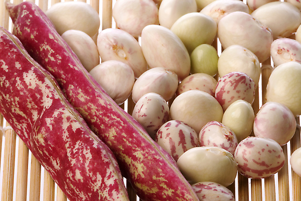 포토 JPG 해외이미지 식물 산업 음식 백그라운드 다이어트 채소 재료 자연 콩 건강 사람없음 빨간색 식사 닫기 유기농 날것 버터 성분 고립 단백질 해외202004 해외포토 웰빙 컬러 모션 곡류 생태계 영양소 파일형식 이미지허브