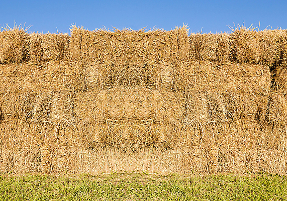 포토 JPG 해외이미지 주간 농업 풍경 사람없음 야외 농경지 짚더미 뭉치 외양간 해외202004 해외포토 자연요소 산업 농장 볏짚 파일형식 더미 이미지허브