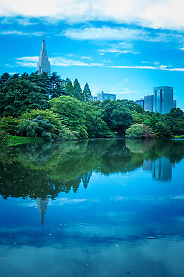 포토 JPG 주간 나무 구름 공원 호수 자연 하늘 물그림자 풍경 빌딩 사람없음 야외 숲 신주쿠 국내포토 자연요소 식물 공공시설 그림자 건물 생태계 파일형식