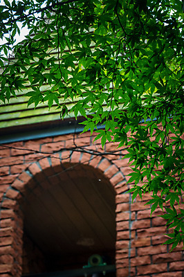 포토 JPG 주간 건축물 단풍 사람없음 야외 아웃포커스 일본 아치 도치기 국내포토 자연요소 건축 아시아 잎 촬영기법 파일형식