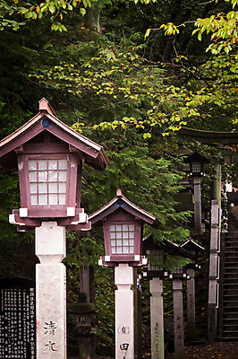 포토 JPG 주간 나무 종교시설 사람없음 야외 계단 일본 기둥 사찰 일본전통 도치기 국내포토 자연요소 식물 전통 건축 아시아 종교 종교건축 시설 파일형식