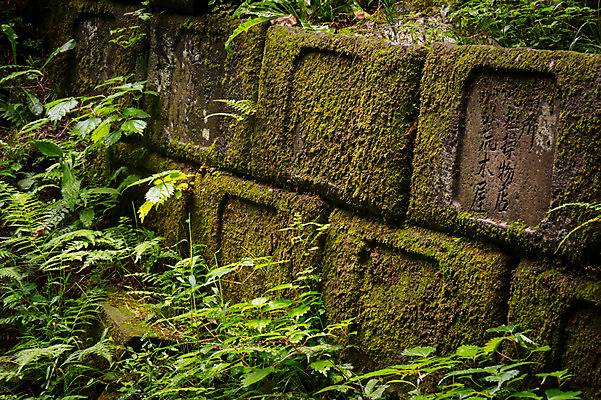 포토 JPG 주간 돌담 이끼 사람없음 야외 일본 잡초 도치기 국내포토 자연요소 식물 아시아 담장 돌_바위 파일형식
