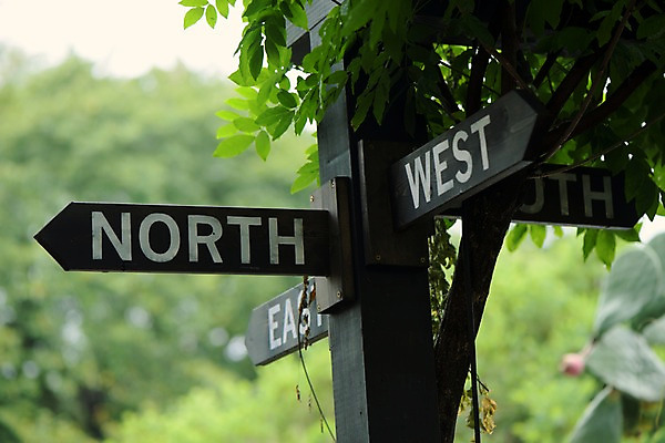 포토 JPG 주간 나뭇잎 사람없음 야외 아웃포커스 표지판 방향 동서남북 방향표지판 국내포토 자연요소 잎 알림판 촬영기법 파일형식