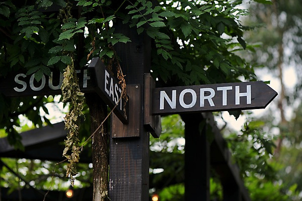 포토 JPG 주간 나뭇잎 사람없음 야외 아웃포커스 표지판 방향 동서남북 방향표지판 국내포토 자연요소 잎 알림판 촬영기법 파일형식