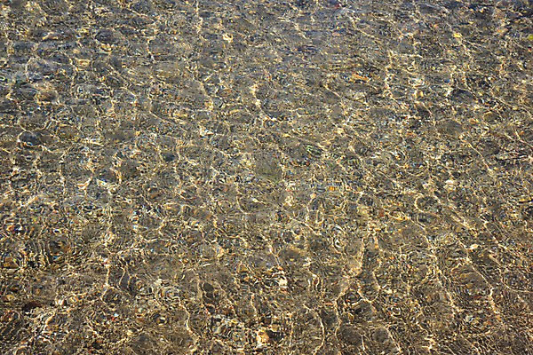 포토 JPG 주간 백그라운드 자연 사람없음 야외 물 강 일본 도치기 국내포토 자연요소 아시아 생태계 파일형식