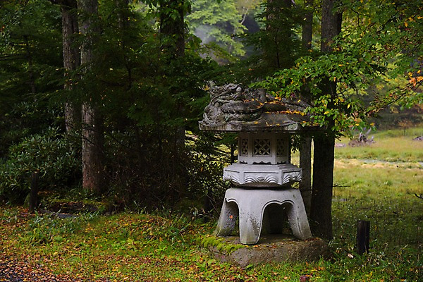 포토 JPG 주간 나무 자연 풍경 사람없음 야외 조각상 일본 숲 도치기 국내포토 자연요소 식물 아시아 조형물 생태계 파일형식