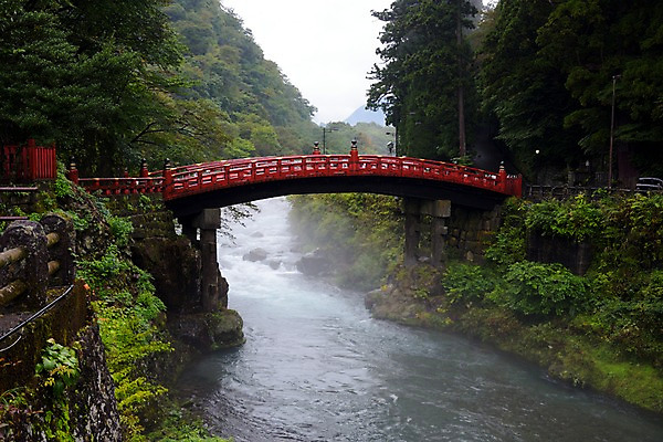 포토 JPG 주간 나무 자연 풍경 사람없음 야외 계곡 일본 숲 구름다리 도치기 국내포토 자연요소 식물 아시아 다리_건축물 생태계 파일형식