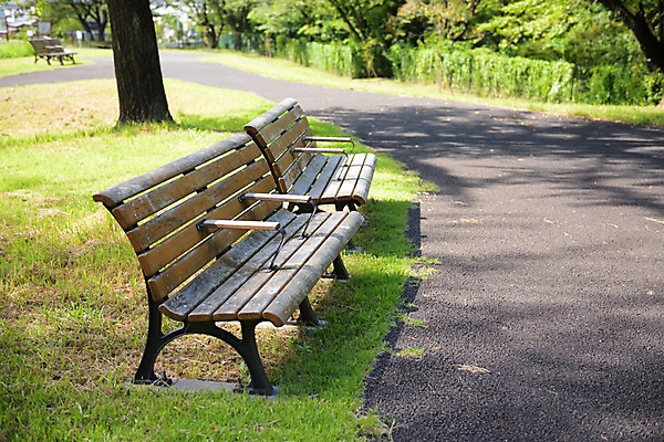 포토 JPG 주간 나무 공원 벤치 풍경 잔디 사람없음 야외 도쿄 오브젝트 국내포토 자연요소 식물 공공시설 의자 일본 파일형식
