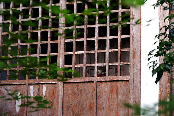 포토 JPG 주간 나뭇잎 사람없음 야외 아웃포커스 문 일본 문살 목조 목조주택 효고 국내포토 자연요소 아시아 잎 촬영기법 파일형식