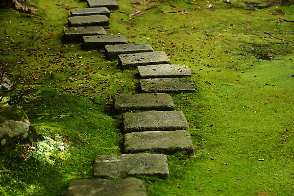 포토 JPG 주간 이끼 사람없음 야외 초록색 일본 돌다리 효고 국내포토 자연요소 아시아 컬러 다리_건축물 파일형식