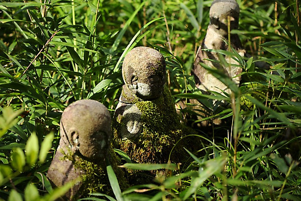 포토 JPG 주간 이끼 사람없음 야외 아웃포커스 조각상 일본 풀 불상 효고 국내포토 자연요소 식물 아시아 불교 촬영기법 조형물 파일형식