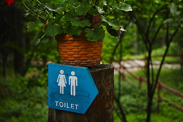 포토 JPG 주간 나무 화분 사람없음 야외 아웃포커스 일본 표지판 공중화장실 나가노 국내포토 자연요소 식물 아시아 알림판 촬영기법 화장실 파일형식