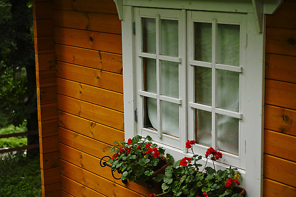 포토 JPG 주간 꽃 화분 창문 주택 풍경 사람없음 야외 일본 오두막 나가노 국내포토 자연요소 식물 아시아 건물 파일형식