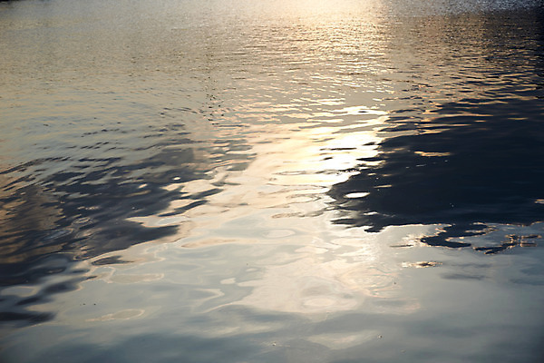 포토 JPG 주간 바다 자연 물그림자 풍경 사람없음 야외 일본 요코하마 국내포토 자연요소 아시아 그림자 생태계 파일형식