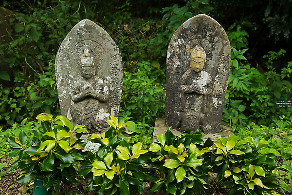 포토 JPG 주간 종교 잎 사람없음 야외 일본 불상 석상 국내포토 자연요소 식물 아시아 불교 파일형식