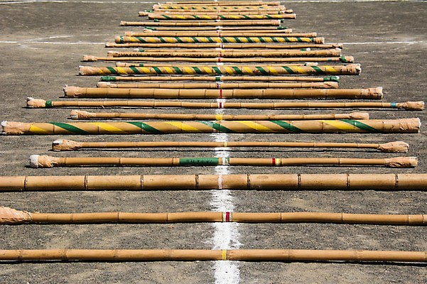 포토 JPG 주간 사람없음 야외 장대 대나무 국내포토 자연요소 나무 파일형식