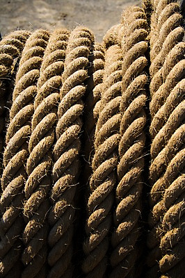 포토 JPG 주간 밧줄 사람없음 야외 말린_둥글게 국내포토 자연요소 줄 컨셉 파일형식