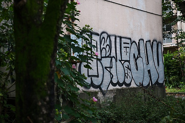 포토 JPG 주간 나무 꽃 거리풍경 사람없음 야외 담장 낙서 그래피티 국내포토 자연요소 식물 거리 풍경 그림 파일형식