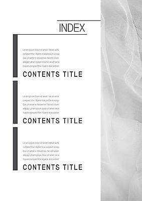 템플릿 내지 면사포 사람없음 픽토그램 직물 프레젠테이션 문서템플릿 서식 레이아웃 문서 제안서 목차 이미지템플릿 AI파일 결혼소품 파일형식 벡터