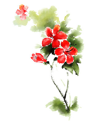 PSD 꽃 일러스트 캘리그라피 붓터치 사람없음 빨간색 번짐 국내일러스트 식물 컬러 파일형식 효과