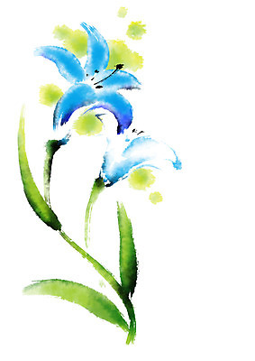 PSD 꽃 하늘색 일러스트 캘리그라피 붓터치 사람없음 번짐 국내일러스트 식물 파란색 파일형식 효과