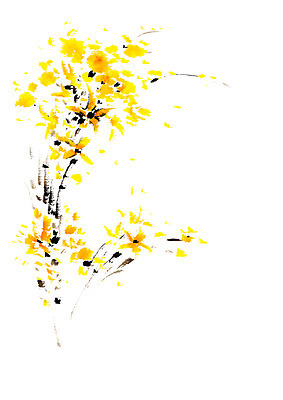 PSD 일러스트 캘리그라피 붓터치 사람없음 노란색 개나리 국내일러스트 꽃 컬러 파일형식