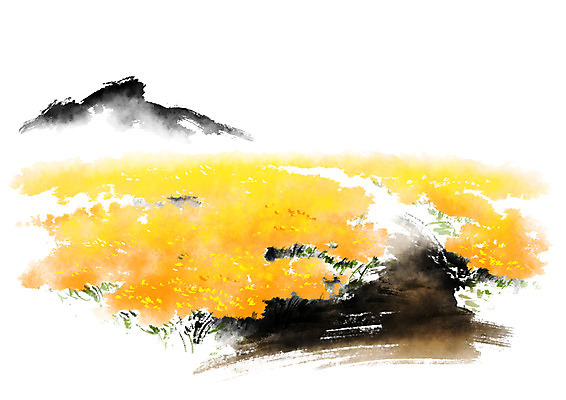 PSD 일러스트 캘리그라피 붓터치 사람없음 유채 유채밭 국내일러스트 꽃 밭 파일형식