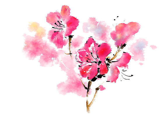 PSD 분홍색 일러스트 캘리그라피 붓터치 사람없음 진달래 번짐 국내일러스트 꽃 컬러 파일형식 효과