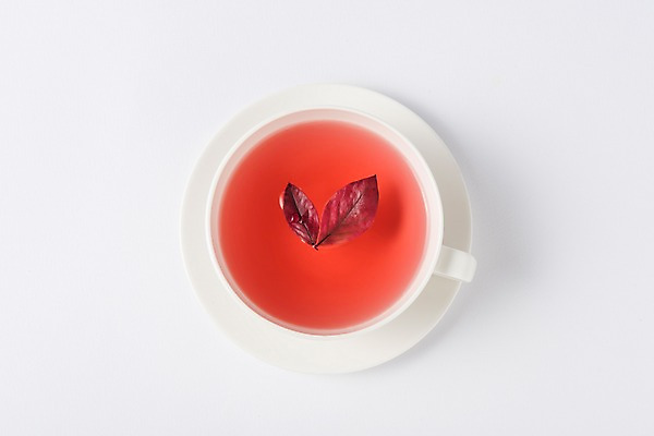 포토 JPG 꽃잎 음료 사람없음 하이앵글 카페 머그컵 차 찻잔 메뉴 블루베리 국내포토 꽃 뷰포인트 과일 잔 컵 상점 파일형식