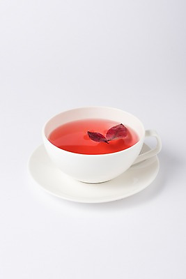 포토 JPG 꽃잎 음료 사람없음 카페 머그컵 차 찻잔 메뉴 블루베리 국내포토 꽃 과일 잔 컵 상점 파일형식