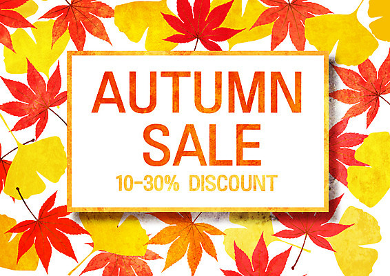 PSD 단풍 일러스트 나뭇잎 사람없음 쇼핑 세일 가을 은행잎 국내일러스트 계절 잎 파일형식