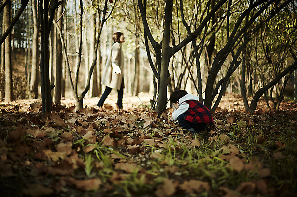 포토 JPG 주간 전신 나무 공원 여자 남자 아들 어린이 장난 놀이 엄마 서기 앉기 소년 성인 야외 두명 옆모습 30대 한국인 가을 숨기 숨바꼭질 아들바보 국내포토 모자관계 자연요소 식물 계절 공공시설 뷰포인트 가족 모션 사람 동양인 장년 파일형식