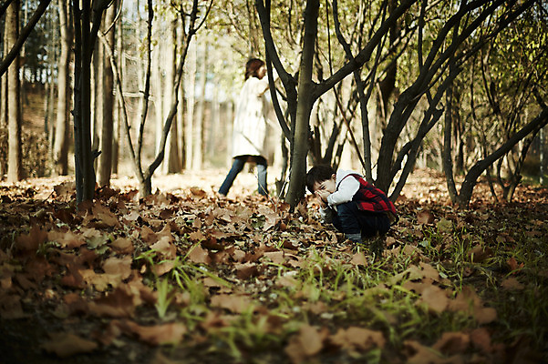 포토 JPG 주간 전신 나무 공원 여자 남자 아들 어린이 장난 놀이 엄마 서기 웃음 앉기 소년 성인 야외 두명 옆모습 30대 한국인 가을 숨기 숨바꼭질 아들바보 국내포토 모자관계 자연요소 식물 계절 공공시설 뷰포인트 가족 모션 표정 사람 동양인 장년 파일형식