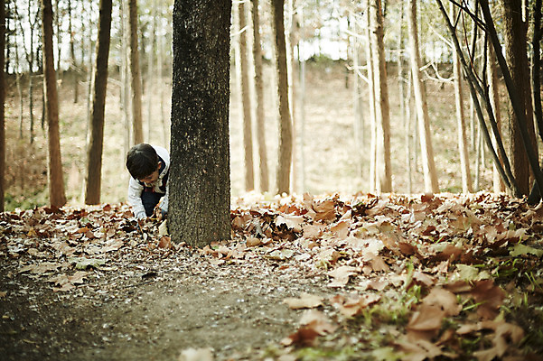 포토 JPG 주간 나무 공원 남자 어린이 나뭇잎 한명 앉기 소년 상반신 야외 앞모습 한국인 가을 소년한명만 줍기 국내포토 자연요소 식물 1 계절 공공시설 뷰포인트 잎 모션 사람 동양인 남자한명만 소년만 파일형식