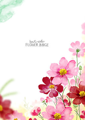 PSD 꽃 꽃밭 꽃백그라운드 일러스트 수채화 사람없음 가을 코스모스 꽃프레임 가을배경 국내일러스트 식물 계절 백그라운드 프레임 파일형식 가을_계절