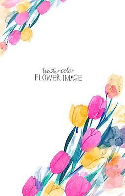 PSD 꽃 꽃백그라운드 일러스트 수채화 사람없음 봄 튤립 꽃프레임 봄배경 국내일러스트 식물 계절 백그라운드 프레임 파일형식