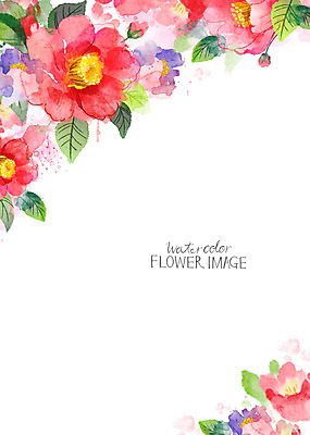 PSD 꽃 겨울 꽃백그라운드 일러스트 수채화 사람없음 동백 꽃프레임 겨울배경 국내일러스트 식물 계절 백그라운드 프레임 파일형식