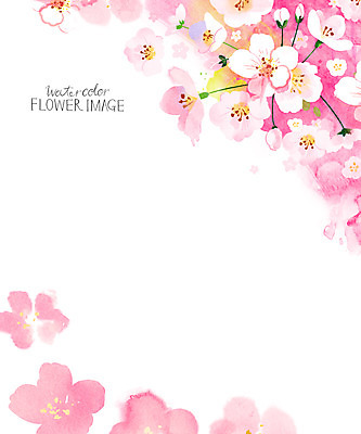 PSD 꽃 꽃백그라운드 일러스트 수채화 사람없음 봄 벚꽃 꽃프레임 봄배경 국내일러스트 식물 계절 백그라운드 프레임 파일형식