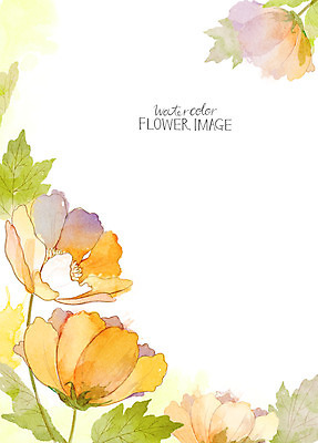 PSD 꽃 꽃백그라운드 일러스트 수채화 사람없음 봄 꽃프레임 봄배경 국내일러스트 식물 계절 백그라운드 프레임 파일형식