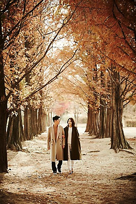 포토 JPG 주간 전신 나무 공원 여자 남자 신혼부부 20대 성인 야외 두명 앞모습 30대 걷기 팔짱 다정 산책 한국인 가을 숲 성인만 국내포토 자연요소 식물 부부 계절 공공시설 뷰포인트 컨셉 모션 휴식 사람 동양인 청년 장년 신혼 파일형식