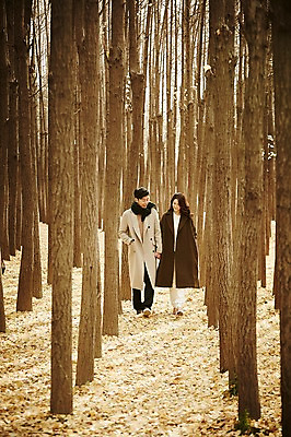 포토 JPG 주간 전신 나무 여자 남자 신혼부부 20대 성인 야외 두명 앞모습 30대 걷기 손잡기 다정 산책 한국인 가을 숲 성인만 국내포토 자연요소 식물 부부 계절 뷰포인트 컨셉 모션 휴식 사람 동양인 청년 장년 신혼 파일형식