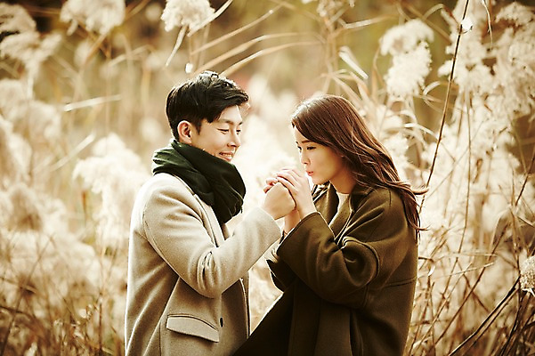 포토 JPG 주간 여자 남자 신혼부부 서기 웃음 상반신 20대 성인 야외 두명 옆모습 30대 기댐 다정 한국인 가을 불기 갈대밭 성인만 국내포토 자연요소 부부 계절 뷰포인트 컨셉 모션 표정 사람 동양인 청년 장년 신혼 파일형식 갈대_식물