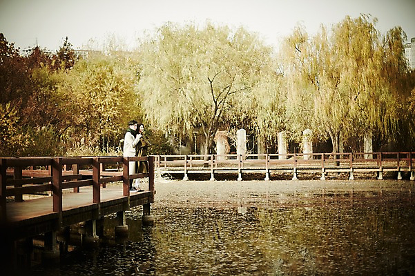 포토 JPG 주간 전신 나무 여자 남자 신혼부부 서기 20대 성인 야외 두명 옆모습 30대 다정 한국인 가을 연못 백허그 가교 성인만 국내포토 자연요소 식물 건축물 부부 계절 뷰포인트 컨셉 모션 포옹 사람 동양인 청년 장년 신혼 파일형식