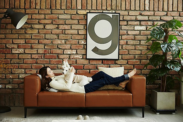 포토 JPG 전신 한마리 여자 안기 실내 한명 웃음 20대 성인 옆모습 소파 한국인 강아지 반려 성인여자한명만 딩펫족 펫팸족 국내포토 1 라이프스타일 뷰포인트 의자 모션 표정 사람 동양인 청년 내부 반려동물 개 신조어 여자한명만 성인여자만 파일형식