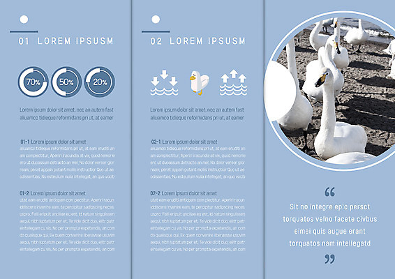 템플릿 표지디자인 북디자인 출판디자인 내지 리플렛 북커버 3단접지 자연 팜플렛 사람없음 이미지템플릿 AI파일 생태계 파일형식 벡터