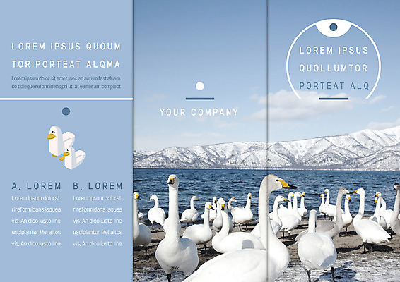 템플릿 표지디자인 북디자인 출판디자인 표지 리플렛 북커버 3단접지 자연 팜플렛 사람없음 이미지템플릿 AI파일 생태계 파일형식 벡터