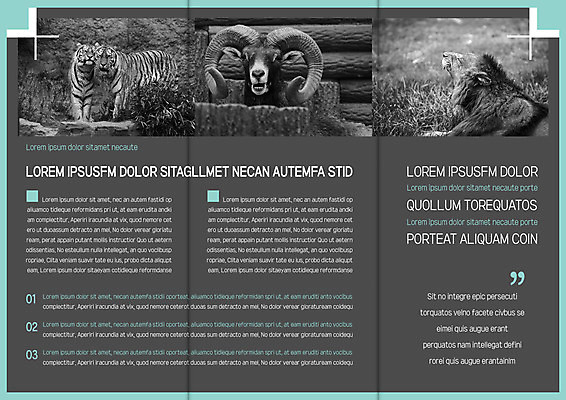 템플릿 표지디자인 북디자인 출판디자인 내지 야생동물 리플렛 북커버 3단접지 팜플렛 사람없음 호랑이 사자 야생동물보호 이미지템플릿 AI파일 동물 포유류 파일형식 벡터