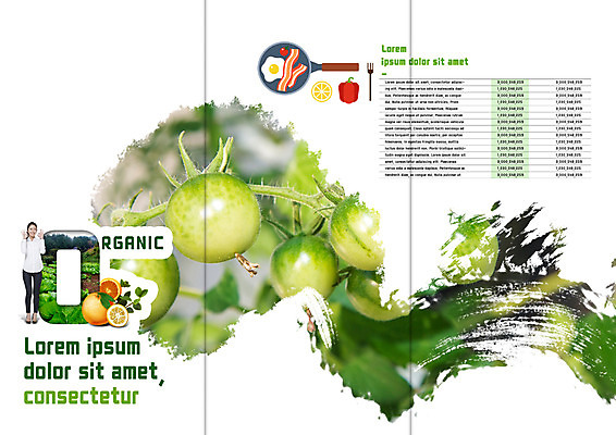 PSD 템플릿 표지디자인 북디자인 출판디자인 여자 내지 리플렛 포크 북커버 오렌지 3단접지 방울토마토 피망 한명 팜플렛 20대 성인 프라이팬 일본인 계란프라이 유기농 베이컨 이미지템플릿 외국인 1 식기 웰빙 토마토 채소 과일 주방용품 돼지고기 사람 동양인 청년 계란요리 파일형식