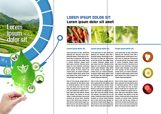 PSD 템플릿 표지디자인 북디자인 손 출판디자인 내지 리플렛 나비 밭 북커버 3단접지 나뭇잎 팜플렛 신체부위 당근 물뿌리개 소시지 상추 계란프라이 유기농 적환무 이미지템플릿 웰빙 곤충 잎 농업 채소 뿌리채소 사람 가공식품 무 계란요리 파일형식