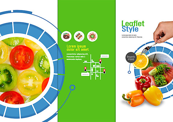 PSD 템플릿 표지디자인 북디자인 손 출판디자인 표지 리플렛 포크 북커버 오렌지 3단접지 방울토마토 단면 피망 파슬리 팜플렛 신체부위 생선회 고추냉이 약도 이미지템플릿 식기 지도 토마토 채소 과일 사람 회 양념 파일형식